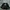 Adidas Streetwear Casual Hat Pria Black