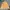 Japanese brand Casual Parka Pria tan cream photo 1