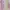 Casual Cardigan Wanita tan pink photo 2