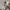 Casual Sweatshirt Pria multicolor photo 4