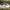 Puma Streetwear Avant Garde Sneakers Pria white photo 3