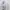 Armani	 Streetwear Y2K T-shirt Pria white photo 5