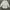 Vivienne Westwood Luxury Avant Garde Blouse Wanita white photo 1
