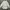 Vivienne Westwood Luxury Avant Garde Blouse Wanita White