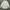 Vivienne Westwood Luxury Avant Garde Blouse Wanita white photo 7