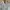 Uniqlo Minimalist Casual Shirt Wanita white photo 2
