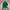JanSport Casual Bag Pria green photo 1