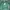 Dior Avant Garde Sweater Wanita green photo 1