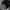 Japanese brand Streetwear Casual Cardigan Pria green black photo 4