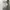 Minimalist Crop top Wanita white photo 1