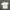 Stussy Luxury T-shirt Pria white photo 2