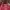 Vintage Y2K Hobo bag Wanita red photo 6