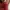 Vintage Y2K Hobo bag Wanita red photo 7