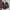 Hummel Casual Windbreaker Pria black photo 1