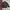 Casual Puffer jacket Pria black photo 1