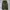 Uniqlo Y2K Avant Garde Casual Pants Pria Green