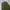 Uniqlo Y2K Avant Garde Casual pants Pria green photo 6