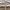 Lacoste Luxury Minimalist Polo shirt Pria gray photo 5