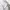 Nike Sportswear Windbreaker Pria white black photo 6