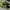 Nike Casual Sneakers Pria green photo 2