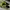 Nike Casual Sneakers Pria Green