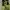 Nike Casual Sneakers Pria green photo 1