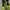 Nike Casual Sneakers Pria Green