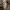 Timberland Casual T-shirt Pria multicolor photo 7