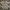 Timberland Casual T-shirt Pria multicolor photo 1