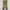 Gorpcore Skater Casual Pants Pria Green