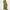 Gorpcore Skater Casual pants Pria green photo 3