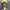 Japanese Brand Vintage Casual Harrington Jacket Pria Multicolor