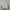 Japanese Brand Vintage Casual Harrington Jacket Pria Multicolor