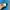 Avirex Streetwear Casual Puffer jacket Pria blue photo 7