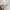 Moncler Streetwear Casual Puffer jacket Pria blue photo 5
