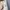 Moncler Streetwear Casual Puffer jacket Pria tan photo 6