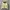 Moncler Streetwear Casual Puffer jacket Pria tan photo 1