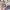 Moncler Streetwear Casual Puffer jacket Pria tan photo 5