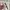 Moncler Streetwear Casual Puffer jacket Pria tan photo 7
