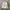Moncler Streetwear Casual Puffer jacket Pria tan photo 2