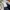 Dickies Skater Casual pants Pria navy photo 1