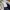 Dickies Skater Casual Pants Pria Navy