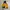 Gorpcore Windbreaker Pria yellow photo 3