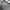 Columbia Streetwear Sportswear Sweater Pria gray photo 3