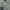 Columbia Streetwear Sportswear Sweater Pria gray photo 4
