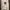 Luxury Sportswear Sweater Pria white photo 1