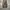 Japanese brand Streetwear Y2K Jeans Pria green brown photo 1