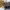 Louis Vuitton Luxury Sunglass Wanita brown photo 1