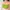 Coquette Bandeau Top Wanita Green