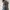 H&M Y2K Crop top Wanita white black photo 3
